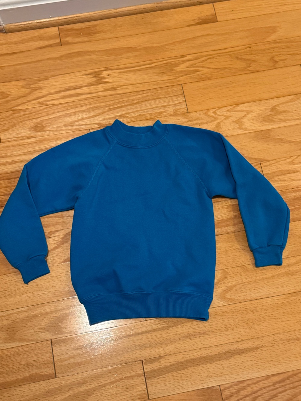 Hanes Classic Kid’s Teal Blue Crewneck Sweater